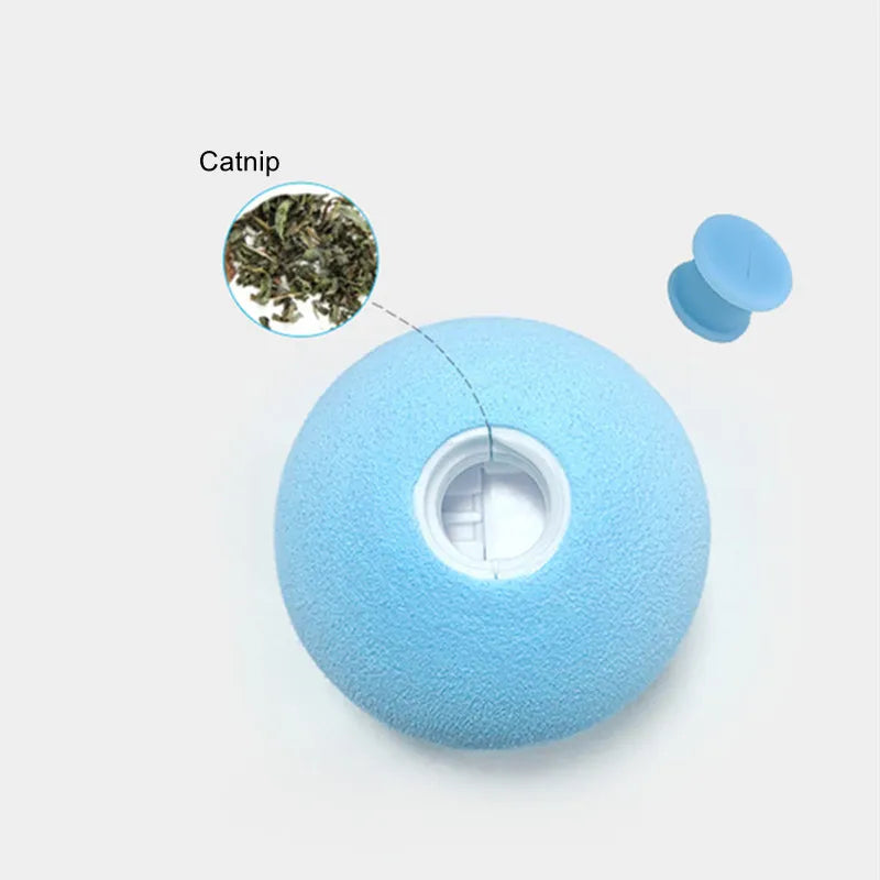 S82383be80a03497a969c5e131f66cb1d1