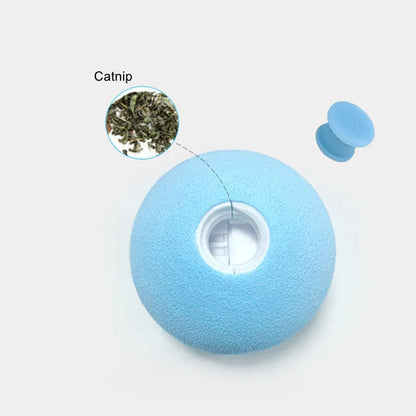 S82383be80a03497a969c5e131f66cb1d1